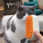La brosse brumisante près d’un chat