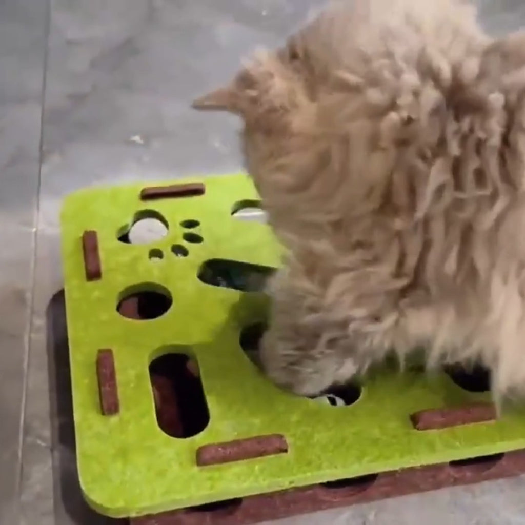 Chat qui glisse la patte dans la boîte à fouille (coloris vert)