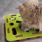 Chat qui glisse la patte dans la boîte à fouille (coloris vert)