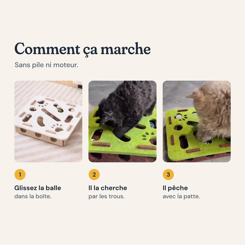 Comment fonctionne la boîte à fouille