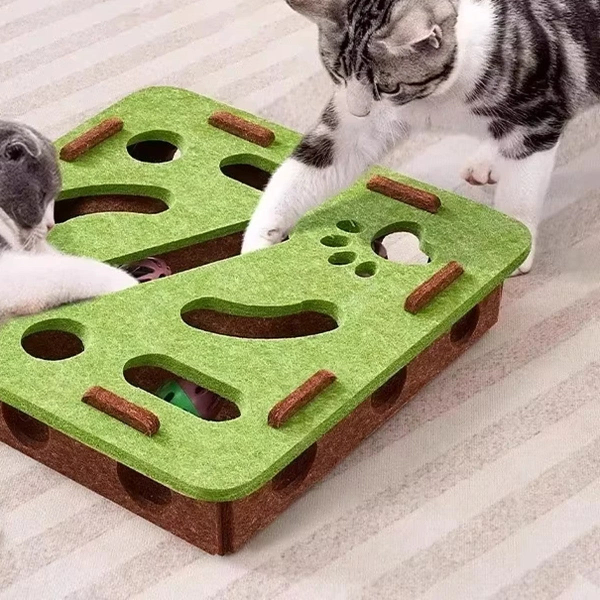 Deux chats jouent avec la boîte à fouille (coloris vert)