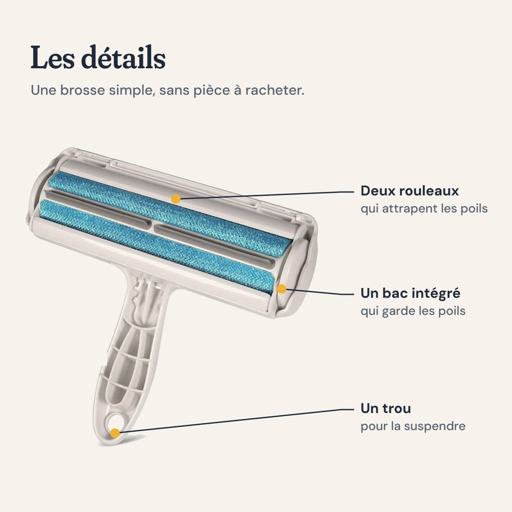 Les détails de la brosse anti-poils : rouleaux, bac, trou de suspension