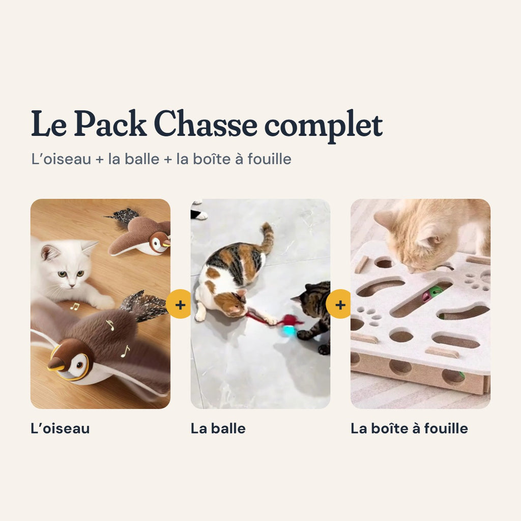 Le Pack Chasse complet : l’oiseau, la balle et la boîte à fouille