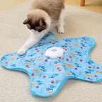 Chat qui guette la plume sous le tapis cache-cache