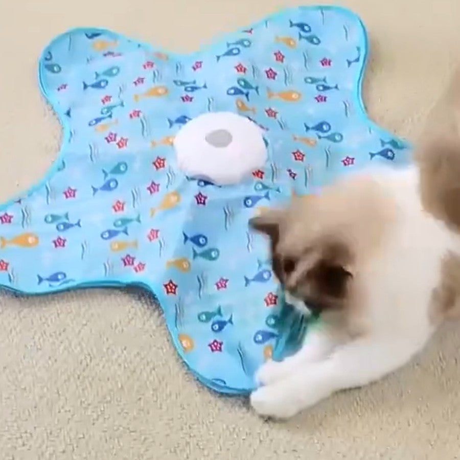 Chat qui joue avec le tapis cache-cache