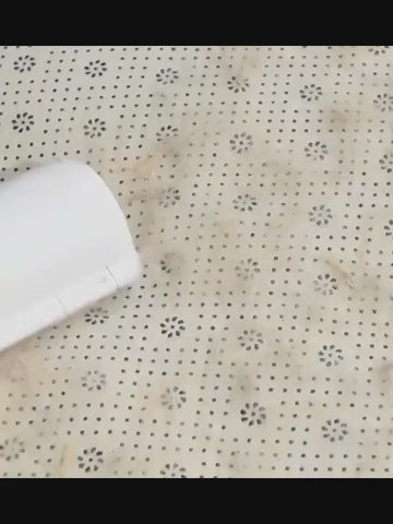 Brosse anti-poils réutilisable en action