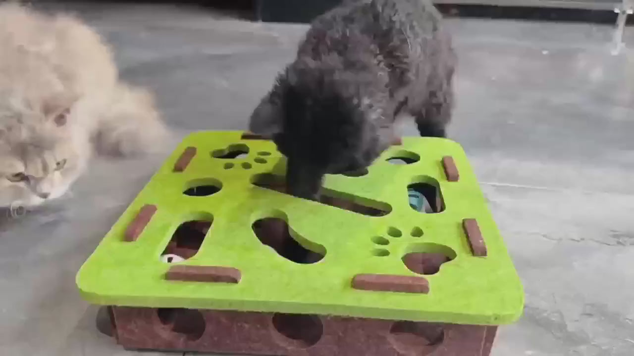 Boîte à fouille en feutre en action (coloris vert)