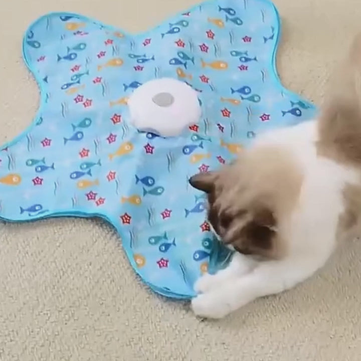 Tapis cache-cache en action