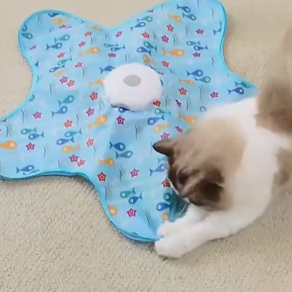 Tapis cache-cache en action