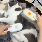 Vidéo : la brosse brumisante en utilisation