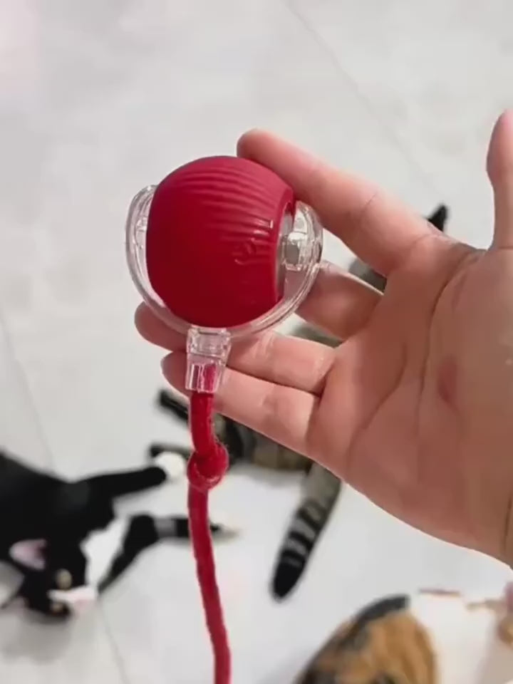 La balle à queue en action avec deux chats